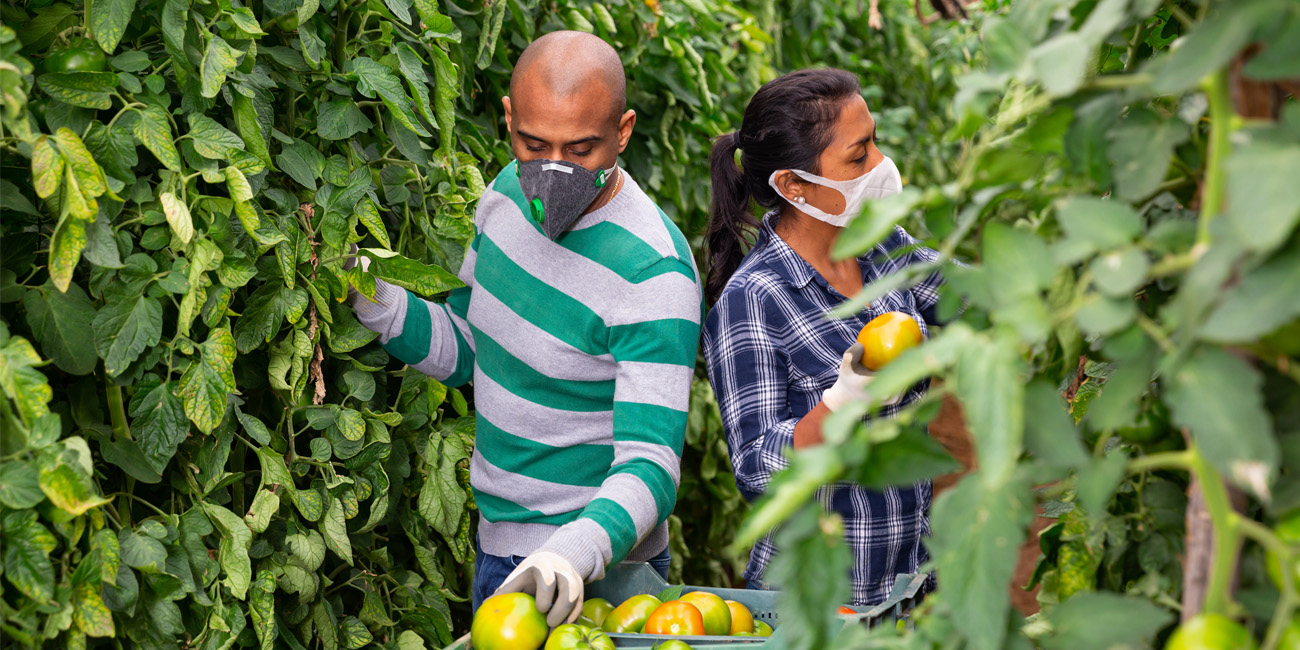 Agricultural Workers